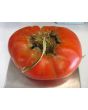 Tomato 'Garden Leader Monster'