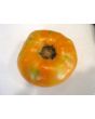Tomato 'Goldie' 