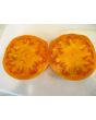 Tomato 'Goldie' 