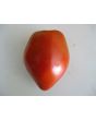 Tomato 'Reif Red Heart' 