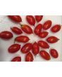 Tomato 'Hardin's Miniature' 