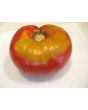 Tomato 'Sandul Moldovan'