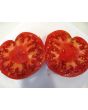 Tomato 'Sandul Moldovan'