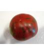 Tomato 'Pink Boar' 