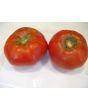Tomato 'Garden Leader Monster'