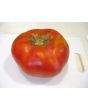 Tomato 'Garden Leader Monster'