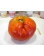 Tomato 'Reif Red Heart' 