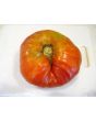 Tomato 'Reif Red Heart' 