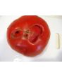 Tomato 'Reif Red Heart' 