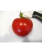 Tomato 'New Yorker' Seeds (Certified Organic)