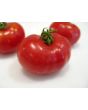 Tomato 'Resi Pink' 