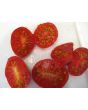 Tomato 'Resi Pink' 
