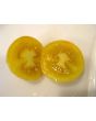 Tomato 'Topaz' AKA 'Huan U'