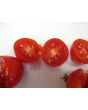 Tomato 'Maskotka' Seeds