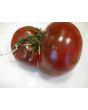 Tomato 'Black Russian'