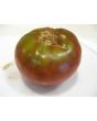 Tomato 'Black Russian'