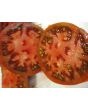 Tomato 'Black Russian'