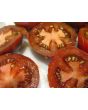 Tomato 'Shokoladnyi' 