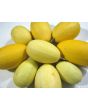 The Ultimate Gourd Seed Mix