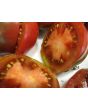 Tomato 'Shokoladnyi' 