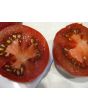 Tomato 'Shokoladnyi' 