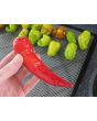 Hot Pepper ‘Cyklon' Seeds (Certified Organic)