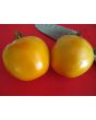 Tomato 'Golden Jubilee' Seeds (Certified Organic)