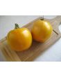 Tomato 'Golden Jubilee' Seeds (Certified Organic)