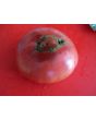 Tomato 'Marianna's Peace' Seeds (Certified Organic)
