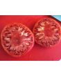 Tomato 'Marianna's Peace' Seeds (Certified Organic)