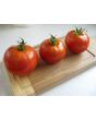 Tomato 'Grosse Lisse' 