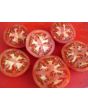 Tomato 'Grosse Lisse' 