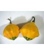 The Ultimate Gourd Seed Mix