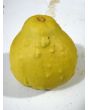 The Ultimate Gourd Seed Mix
