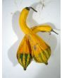 The Ultimate Gourd Seed Mix