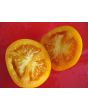 Tomato 'Moonglow' 