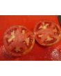 Tomato 'Pete's Italian Paste' 