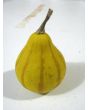 The Ultimate Gourd Seed Mix