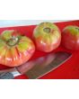 Tomato 'Soldacki'