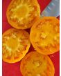 Tomato 'Dr. Wyche's Yellow'