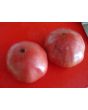 Tomato 'Flathead Monster Pink' Seeds (Certified Organic)
