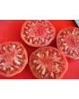 Tomato 'Flathead Monster Pink' Seeds (Certified Organic)
