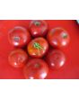 Tomato 'Chalk's Early Jewel' 