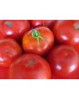 Tomato 'Chalk's Early Jewel' 