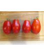 Tomato 'Martino's Roma' 