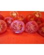 Tomato 'Martino's Roma' 