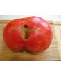 Tomato 'Northern Lights'