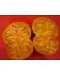 Tomato 'Northern Lights'