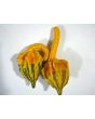 The Ultimate Gourd Seed Mix