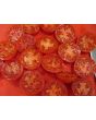 Tomato 'Norduke' 